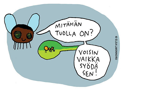 Metsän-ötökät-osa1-02