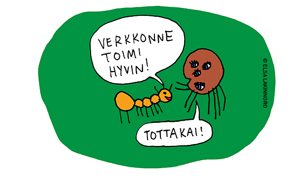 Metsän-ötökät-osa1-07