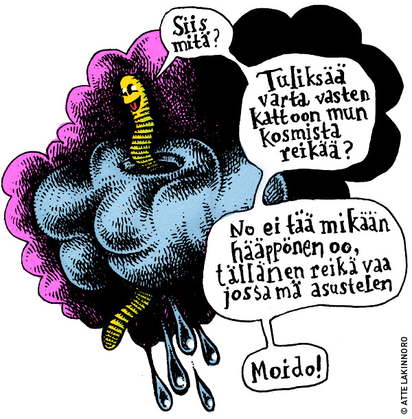 madonreika_usvassa_naass