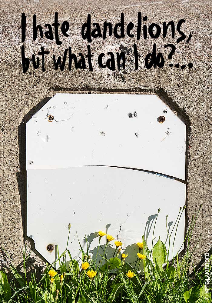 Face0022 lakinnoro.com