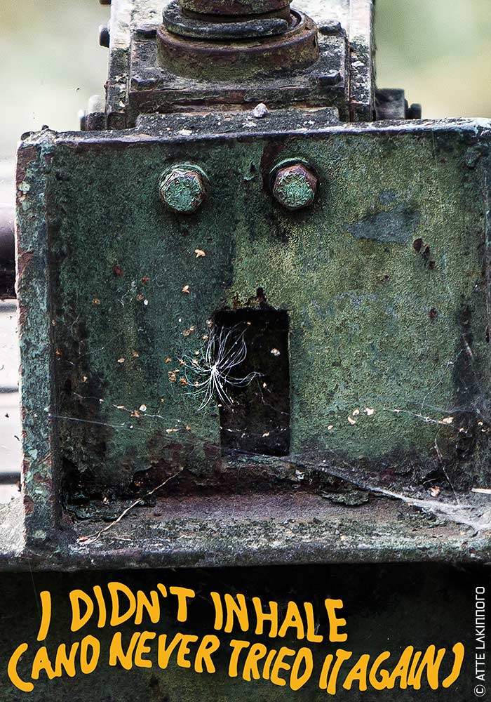 Face0034 lakinnoro.com