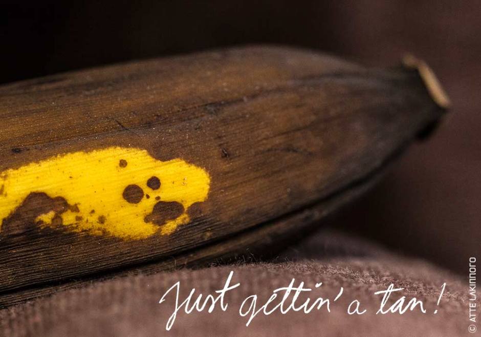 Face0042 lakinnoro.com