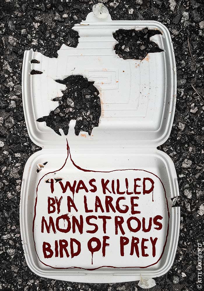 face0050 lakinnoro.co