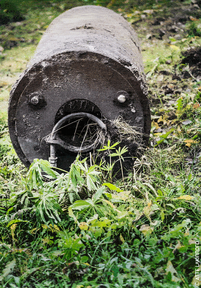 face0074 lakinnoro.com