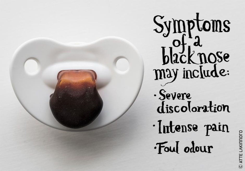 phase0079 lakinnoro.com