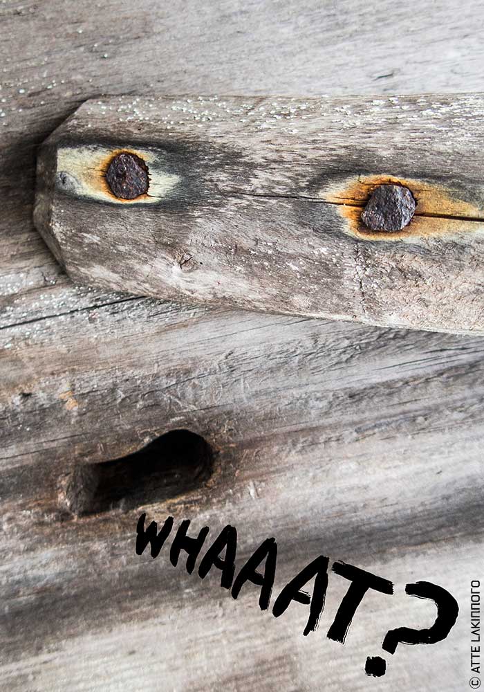 Phase111 lakinnoro.com